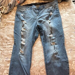 Torrid Jeans